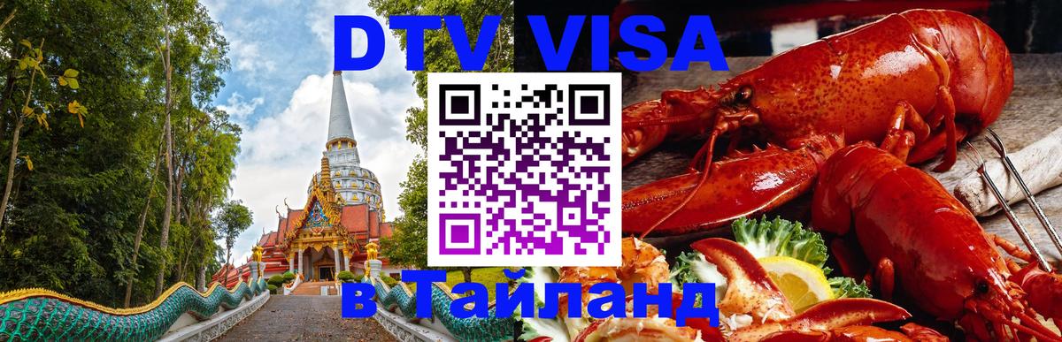 Оформление DTV визы под ключ: стоимость и тарифы, только загранпаспорт - 